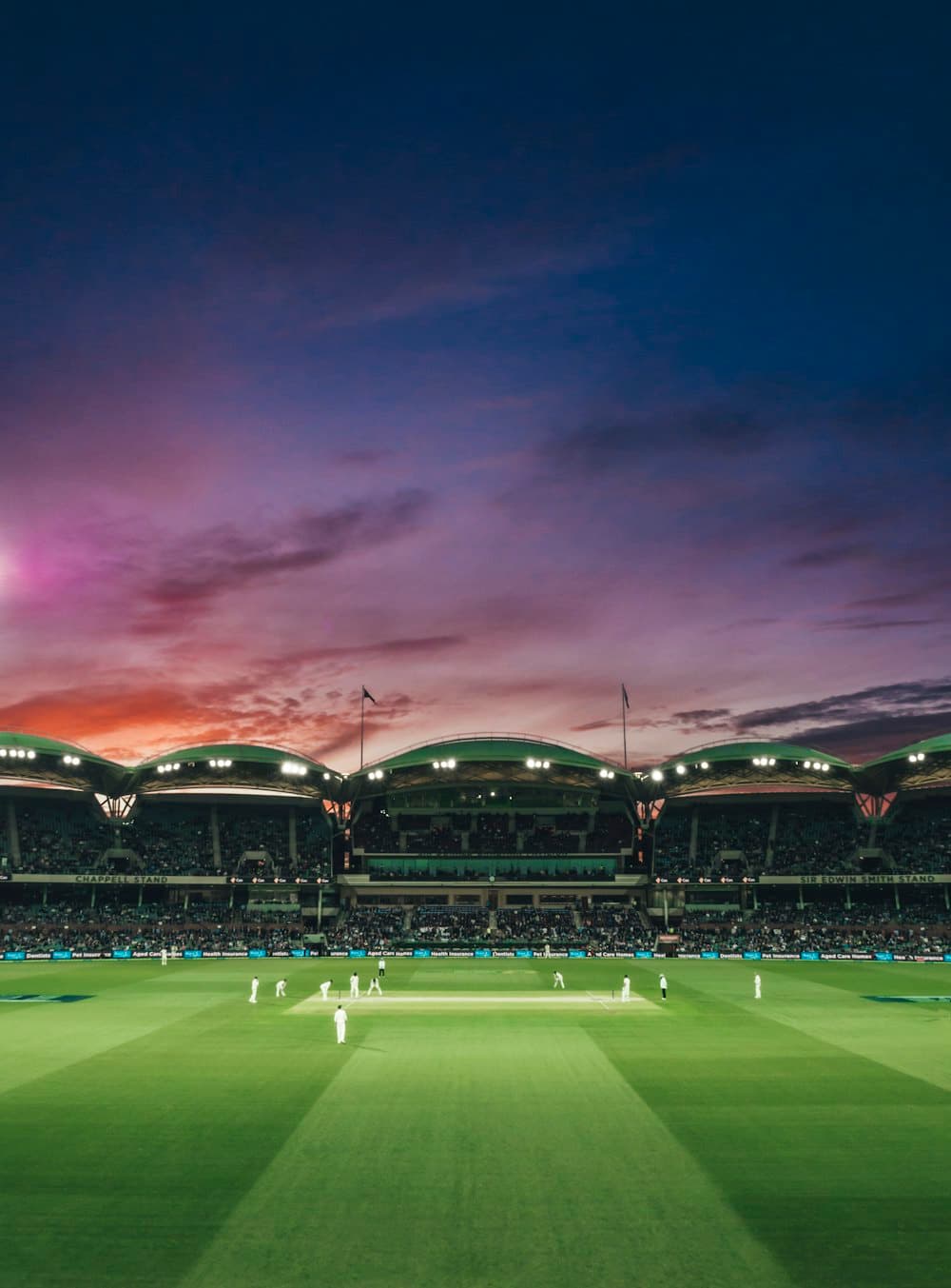 Cricket players on the field at sunset